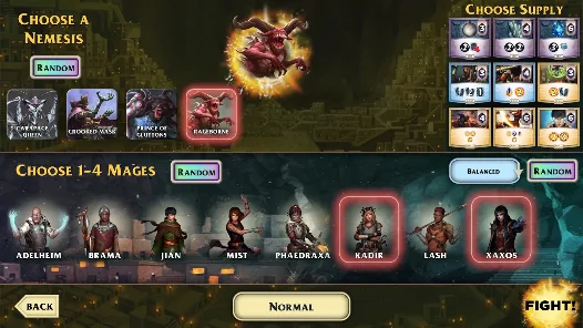Screenshot 13