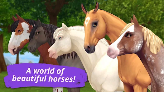 Screenshot 26